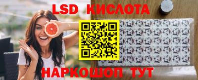 spice Кингисепп