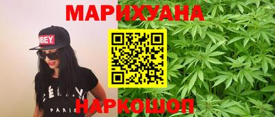spice Кингисепп
