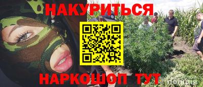 spice Кингисепп