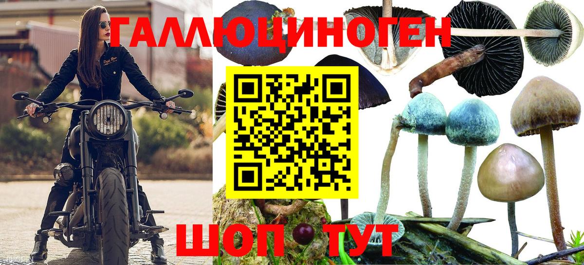 Псилоцибиновые грибы мицелий  Вход с VPN  Шатура  Псилоцибиновые грибы Magic Shrooms 